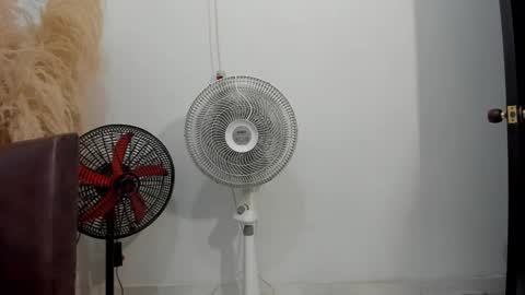 Reuben online show from November 29, 5:59 am