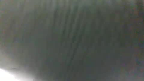 Snapshot of slothslav chatting on January 31, 10:10 am slothslav online show from January 31, 10:10 am