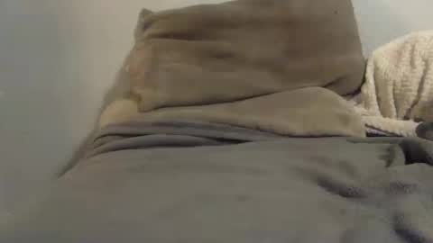 slrnst online show from October 17, 2:48 am