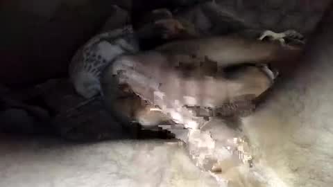 slurryyy online show from April 11, 6:29 am