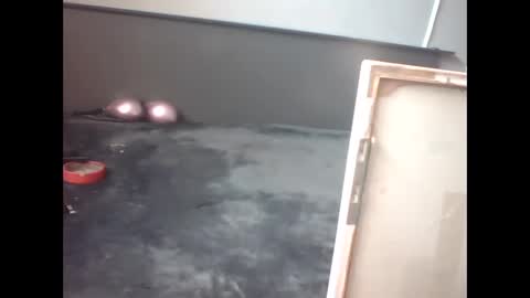 slutviki online show from February 15, 10:14 am