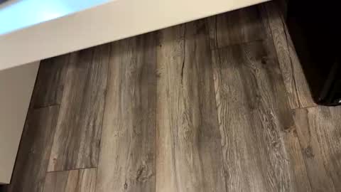 snap2509 online show from April 17, 6:10 pm