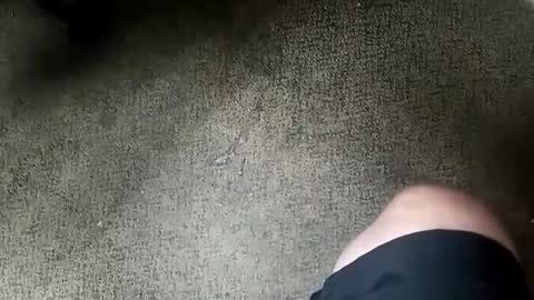 Snapshot of socalguy1369 chatting on October 8, 8:26 pm socalguy1369 online show from October 8, 8:26 pm