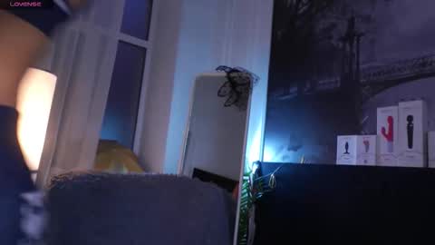 Sofia online show from January 18, 6:22 am