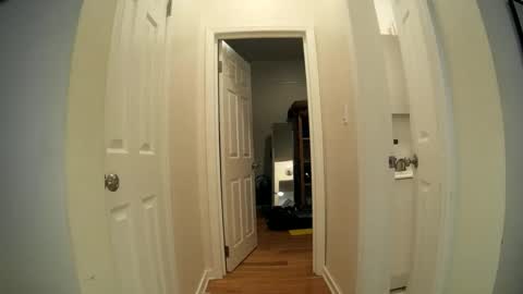 Wild Sofia online show from January 15, 1:47 am