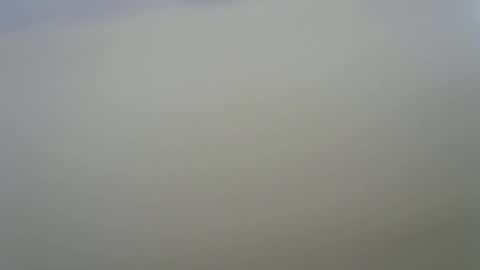 solitariodf2022 online show from January 19, 3:44 pm