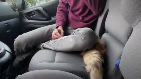 Sondages online show from November 6, 8:06 am