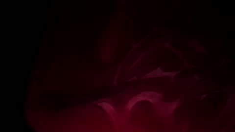 soulmate198781 online show from December 26, 7:05 pm