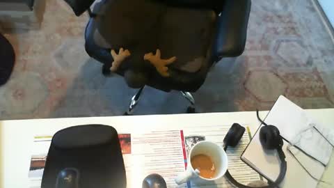 SOUTHERNBONES online show from September 29, 3:11 pm