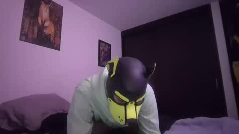 SPARK online show from February 7, 5:21 am