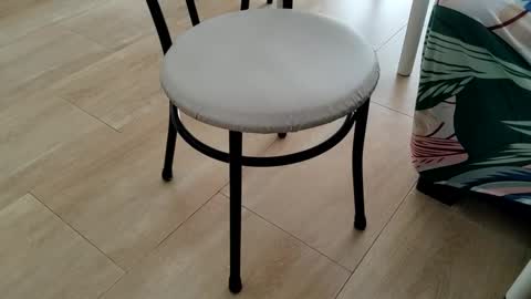 Leo online show from March 2, 1:51 pm