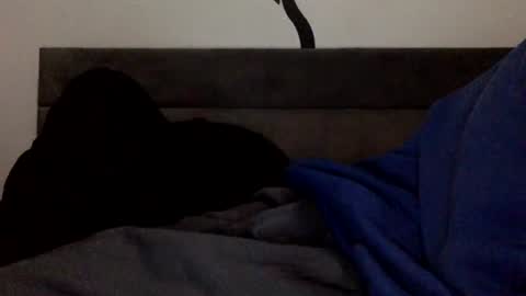 Twitter Toxiceli2 online show from February 3, 6:51 am