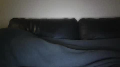 spritzer47 online show from December 15, 8:05 pm