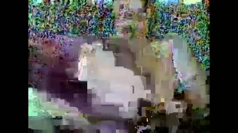 spypsat online show from December 2, 12:46 pm