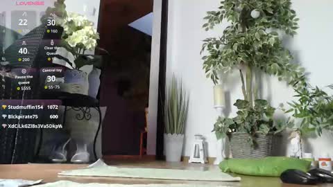 Monica online show from November 9, 6:06 am