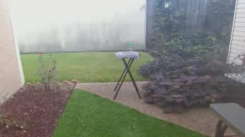 srtxshow online show from October 21, 2:10 pm