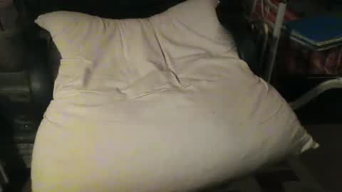 Snapshot of stalloneumbro chatting on January 22, 3:07 pm CIPPALIPPA online show from January 22, 3:07 pm