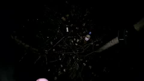 staralver online show from September 14, 2:36 am