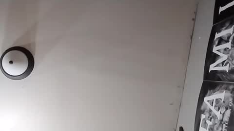 Oval2022 online show from March 26, 12:10 pm