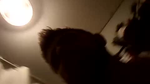 Oval2022 online show from December 8, 12:02 am