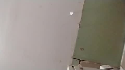 Oval2022 online show from April 14, 12:19 pm