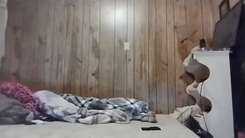 Snapshot of straighttoy chatting on March 3, 5:09 am straighttoy online show from March 3, 5:09 am