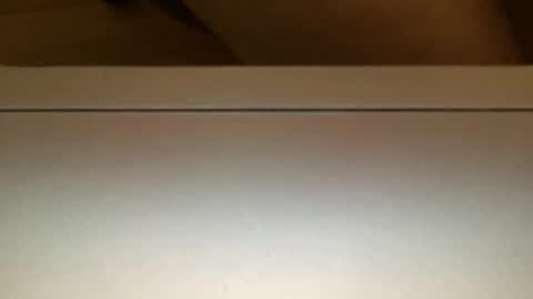 studfarms0525 online show from January 7, 4:28 am