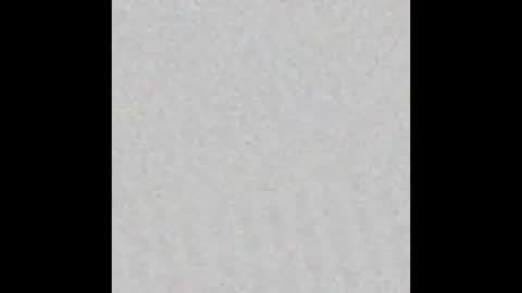 Polly online show from October 24, 6:30 pm