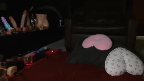 Suga cookie online show from November 16, 5:09 am