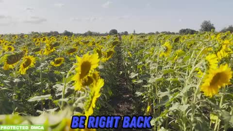 Tina. Im topless model  online show from April 2, 1:51 pm