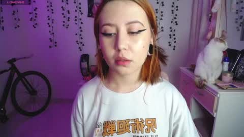 Sunset online show from October 29, 4:47 am