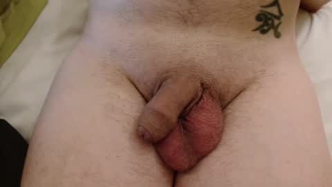 Superballs66 online show from July 31, 7:37 pm