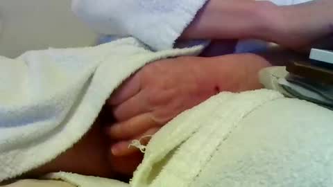 Peter online show from February 25, 7:39 pm