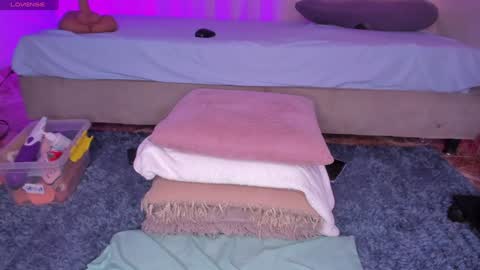 Snapshot of sweet_kahia chatting on December 24, 8:55 am Diana online show from December 24, 8:55 am