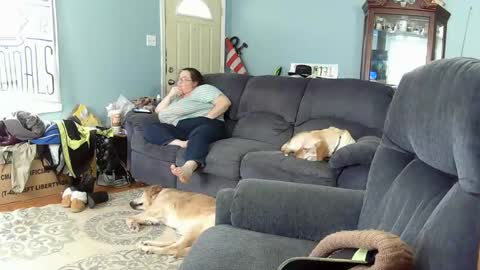 DJ  M 489 Babygirl  F 37 online show from February 6, 4:03 pm