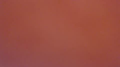 Andrea online show from February 1, 3:41 am