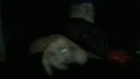 sweetpussylicks online show from May 2, 3:12 am