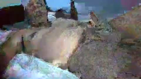 swjkivjo online show from January 7, 3:39 pm