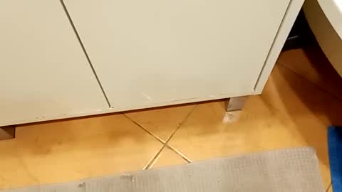 Szykowny95 online show from April 4, 10:39 pm