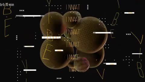 TAANNI online show from May 15, 8:38 pm