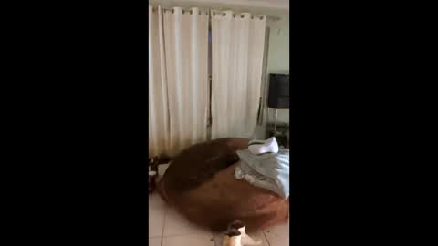 tab7exp online show from March 21, 1:22 am