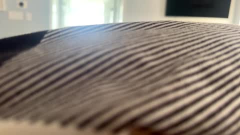 talk2me818 online show from January 2, 3:08 pm