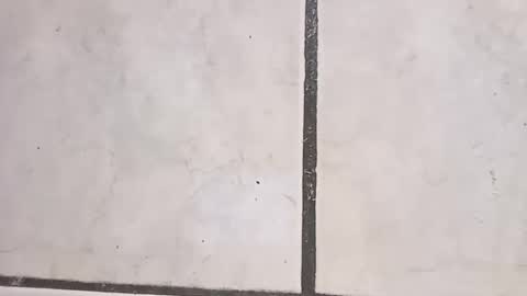 tall6feet7inch online show from September 20, 6:22 pm