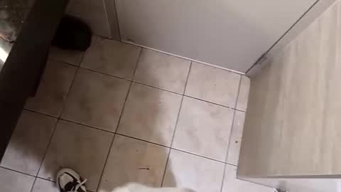 tallslimmy32 online show from April 4, 9:22 pm