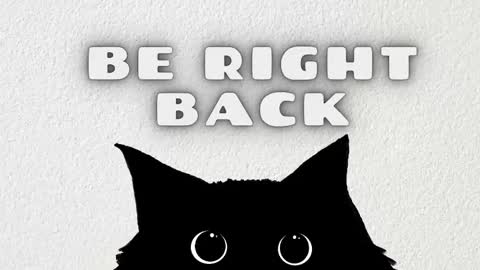 Rousaly online show from February 1, 9:06 am