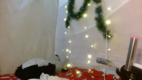 Katty badbitch online show from December 1, 7:23 pm