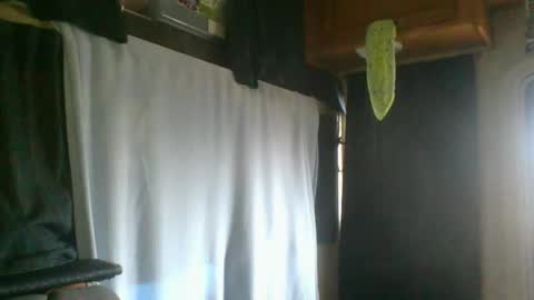 taylafox online show from February 7, 9:26 pm