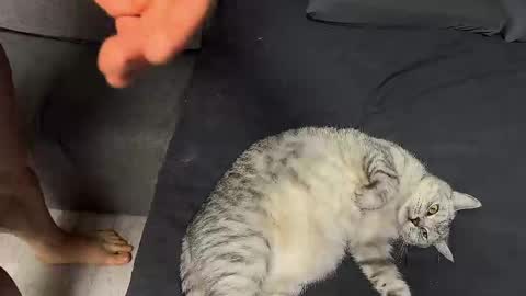 Andy Psy online show from April 1, 1:23 pm