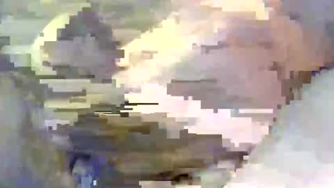 tedestep2 online show from October 19, 8:24 pm