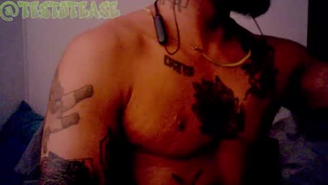 Milo online show from February 15, 3:31 am